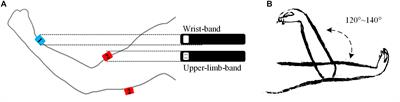 A Regression-Based Framework for Quantitative Assessment of Muscle Spasticity Using Combined EMG and Inertial Data From Wearable Sensors